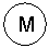 Oval: M